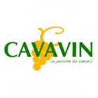 Cavavin Angers
